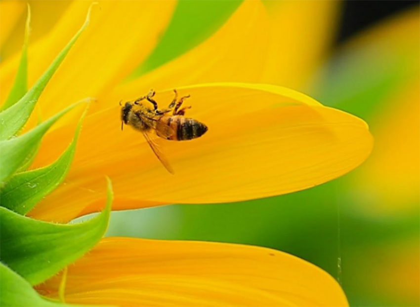 1648821951297757.jpg 艾木傳媒利用景深合成突破對焦范圍限制的拍攝技巧