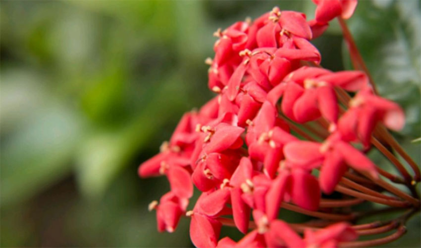 1649336848206162.jpg 攝影新手怎樣快速提升自己的構(gòu)圖水平